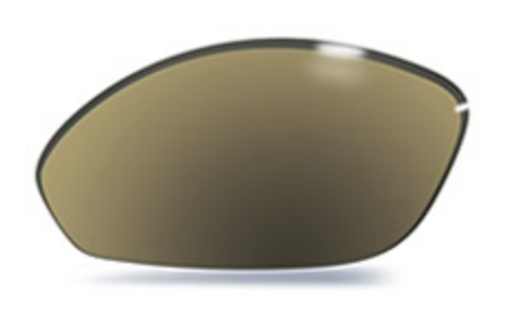 Polarized + Mirror